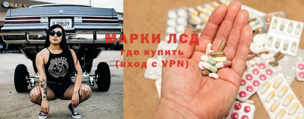 тгк Алзамай