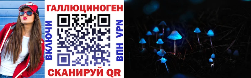 Псилоцибиновые грибы Psilocybine cubensis  купить   Кувшиново 