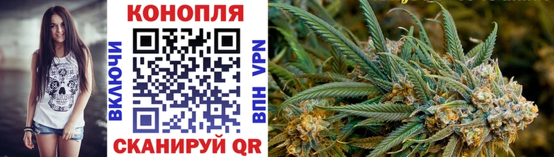 купить   Кувшиново  Канабис марихуана 